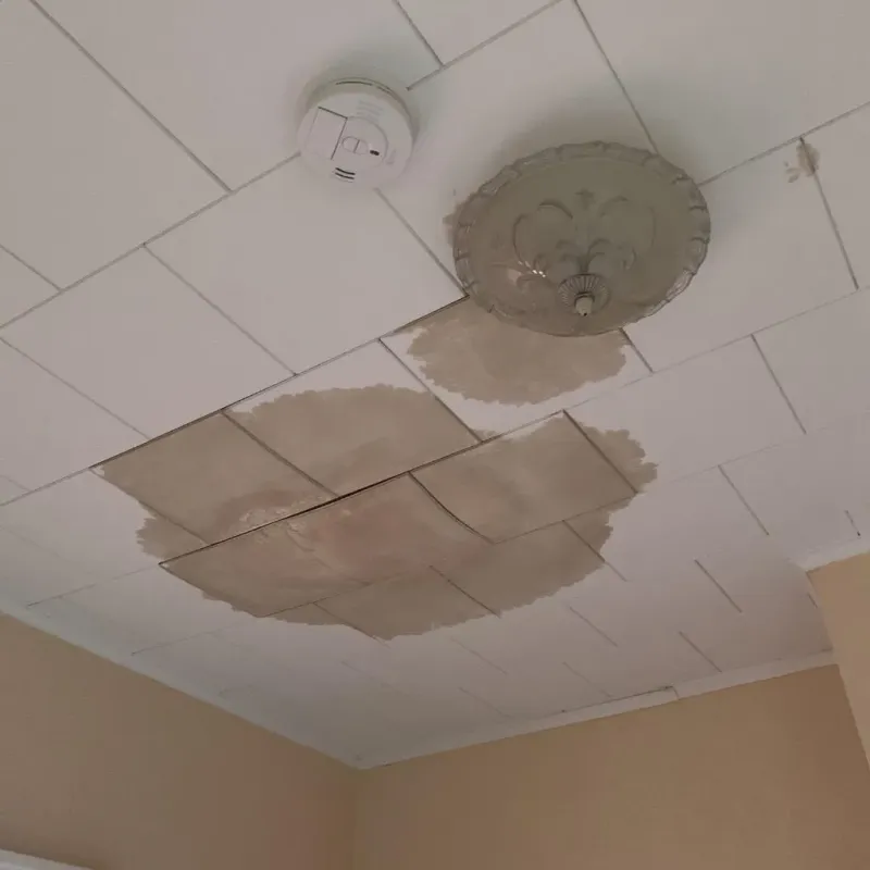 Ceiling Water Damage Repair in Albany County, WY