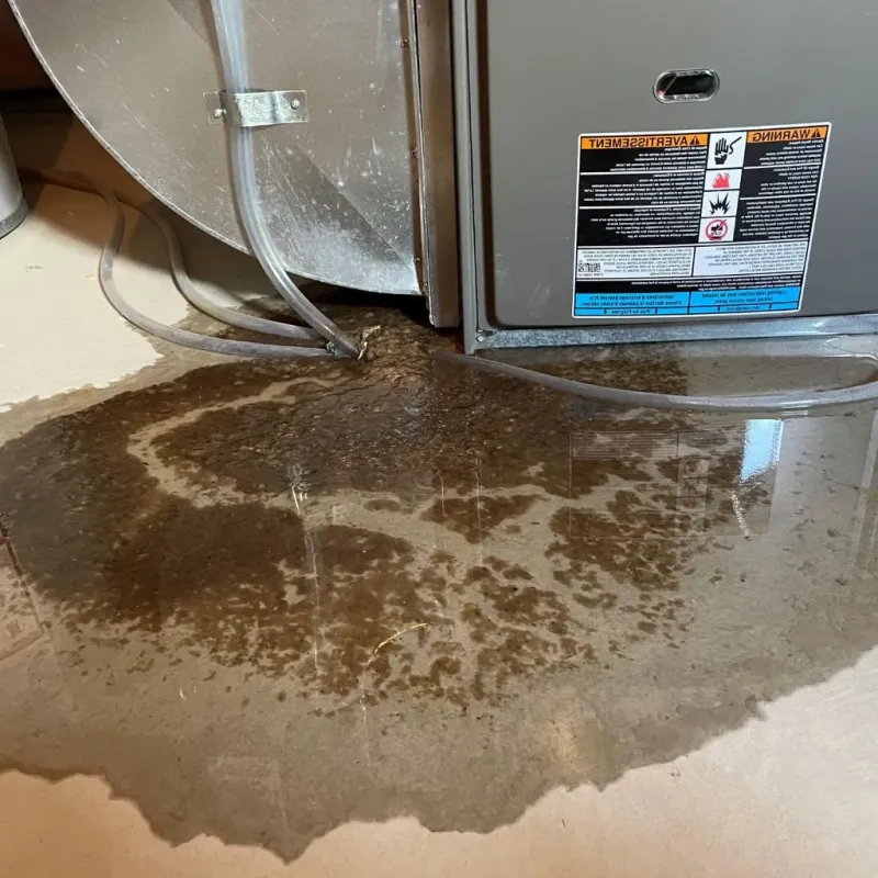 Pipe Burst and Leak Restoration in Albany County, WY