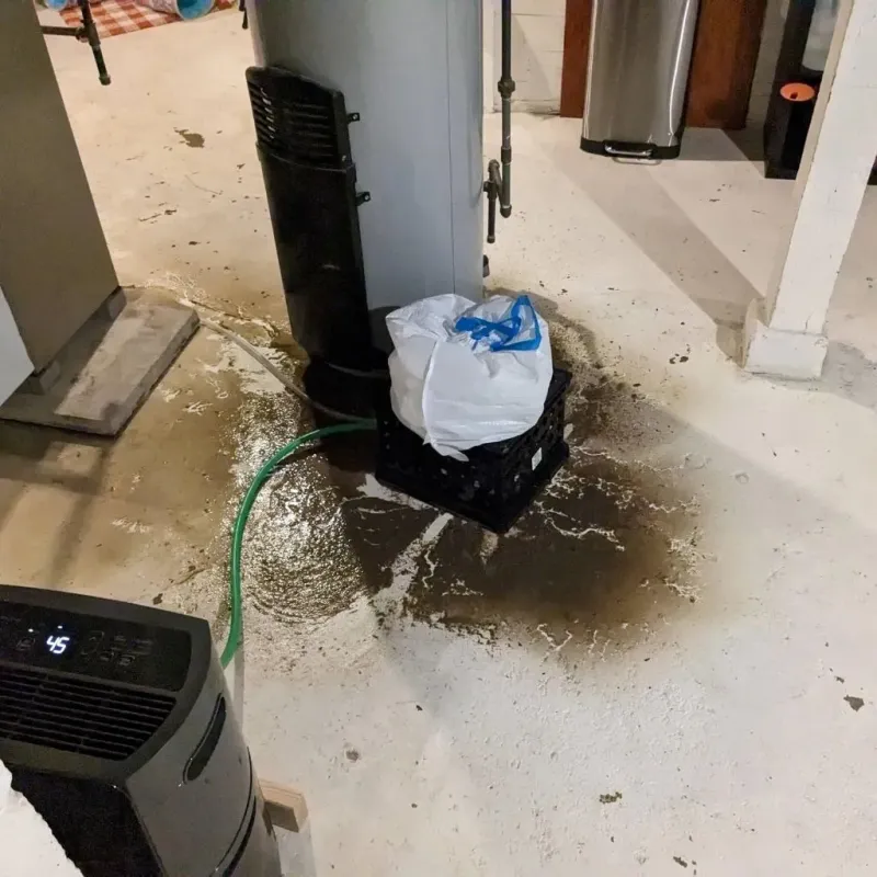 Sewage Backup Cleanup Service in Albany County, WY